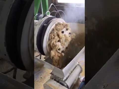 Expander Yem Üretimi